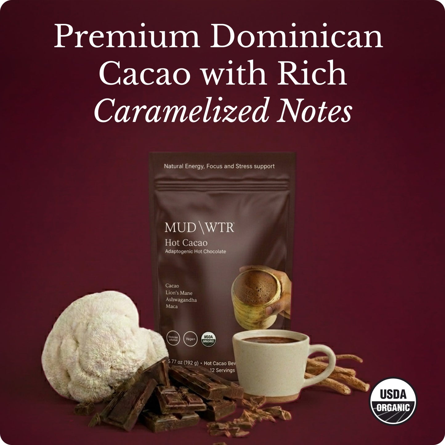 hot-chocolate-z6 Hot_Chocolate_Image_01.jpg