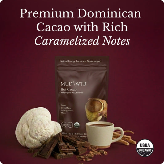 hot-chocolate-i2 Hot_Chocolate_Image_01.jpg