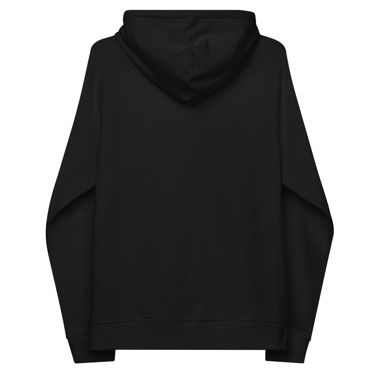 unlearn-relearn-hoodie-k2 unisex-eco-raglan-hoodie-black-back-647547b169f25.jpg
