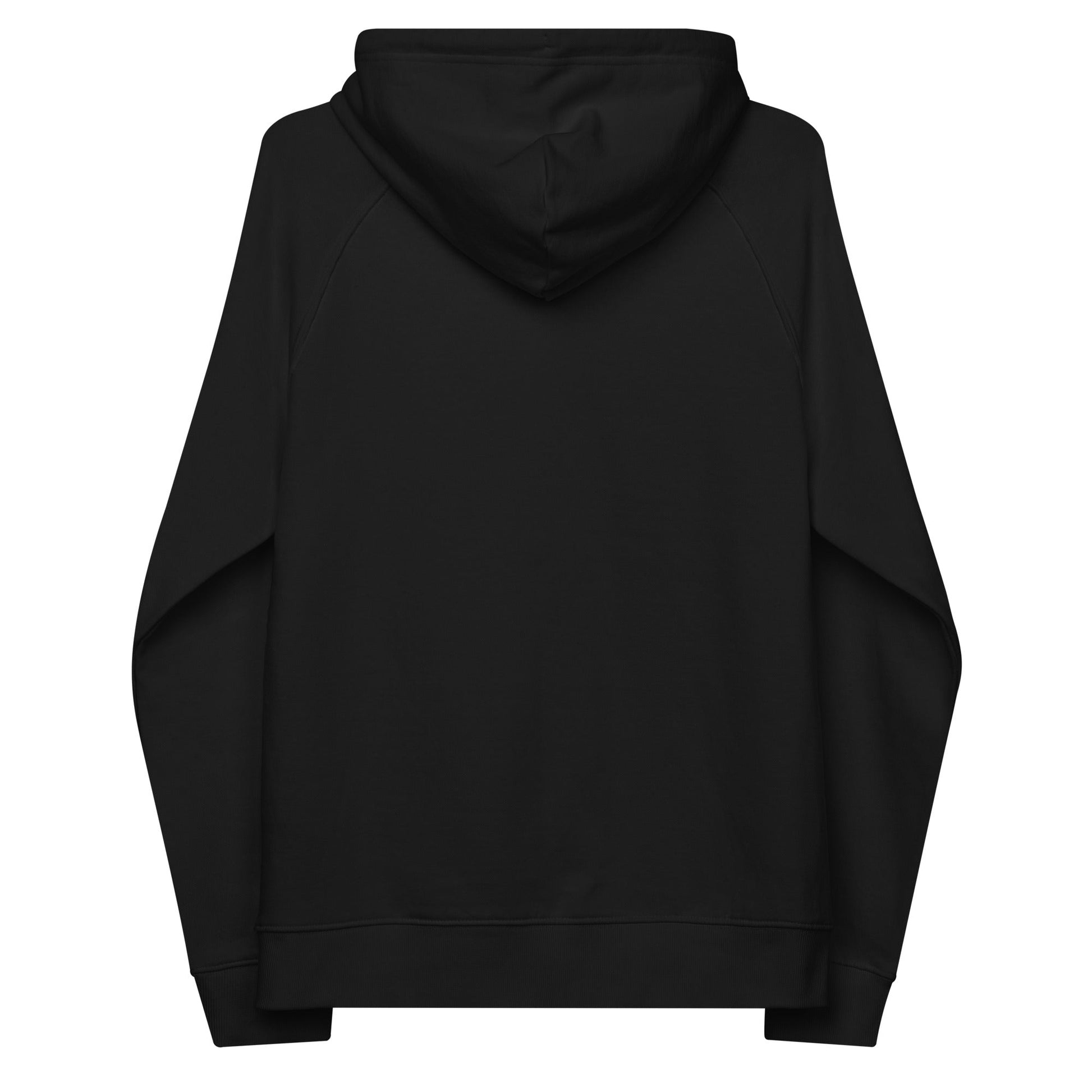 unlearn-relearn-hoodie-k2 unisex-eco-raglan-hoodie-black-back-647547b169f25.jpg